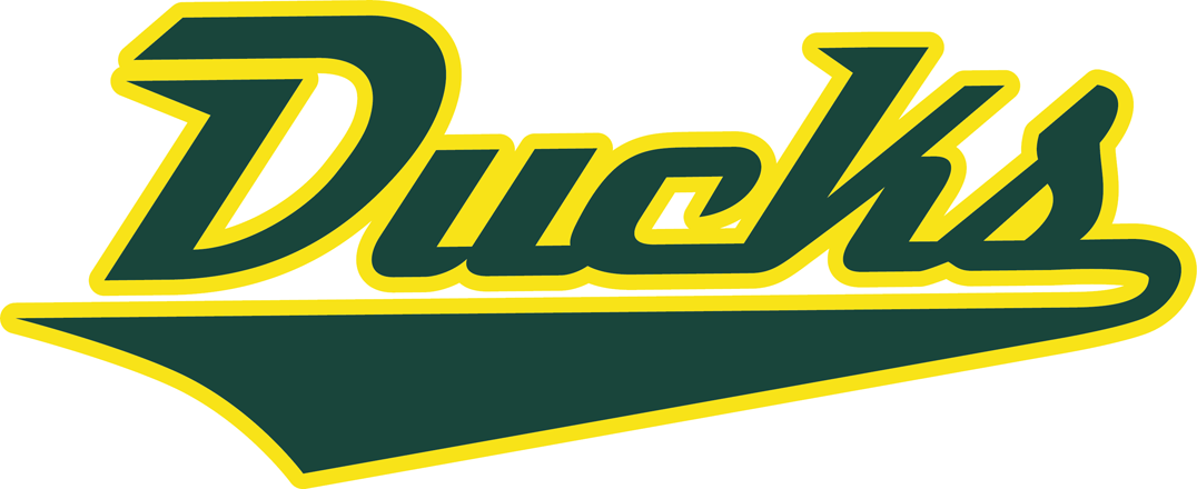 Oregon Ducks 2013-Pres Wordmark Logo t shirts iron on transfers